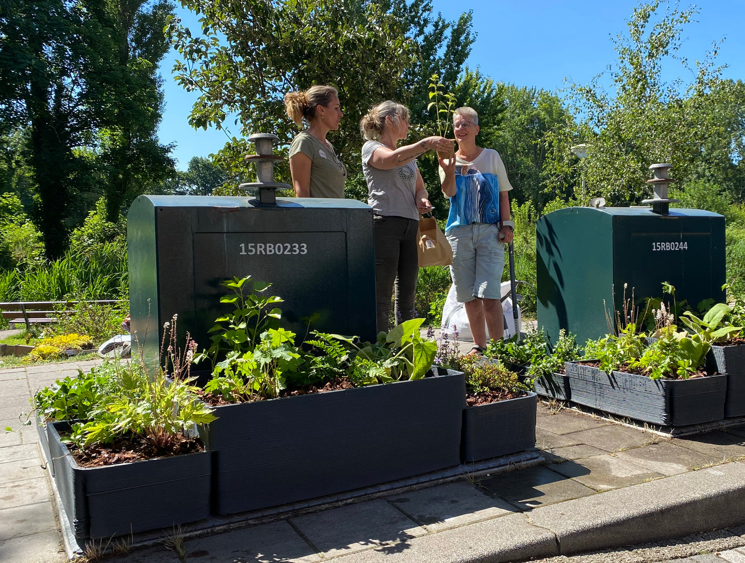 containertuintje-biologische-tuinplanten-citygard-duurzaam-den-haag-green-up-the-city